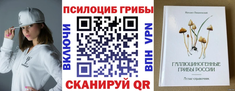 Купить закладки  Южноуральск  Псилоцибиновые грибы Magic Shrooms 